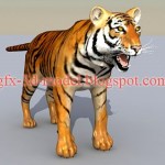 Tiger 3d model