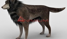 Wolf 3d model render