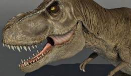 Tyrannosaurus rex 3d model