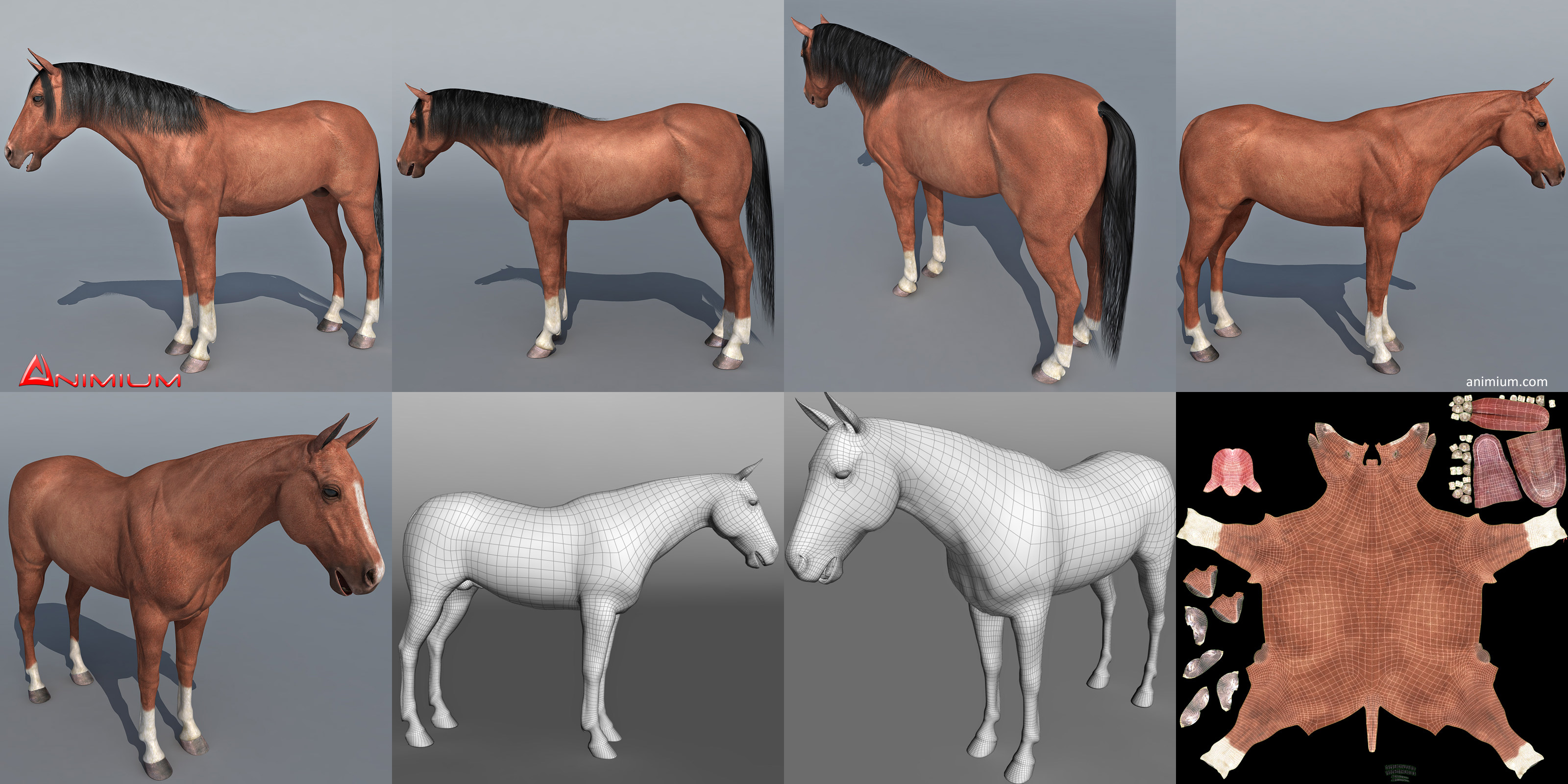 Horse 3d model